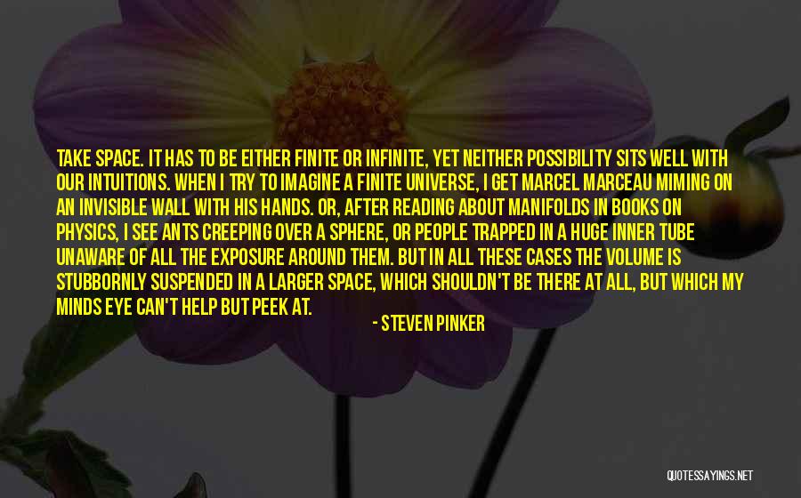 Space Cases Quotes By Steven Pinker