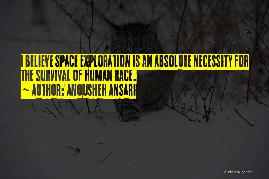 Space Exploration Quotes By Anousheh Ansari