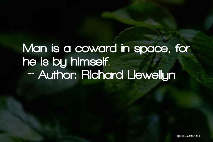 Space For Relationship Quotes By Richard Llewellyn