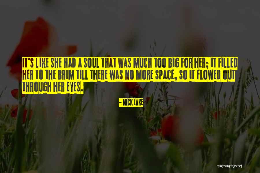 Space For The Soul Quotes By Nick Lake Space For The Soul Quotes By Nick Lake