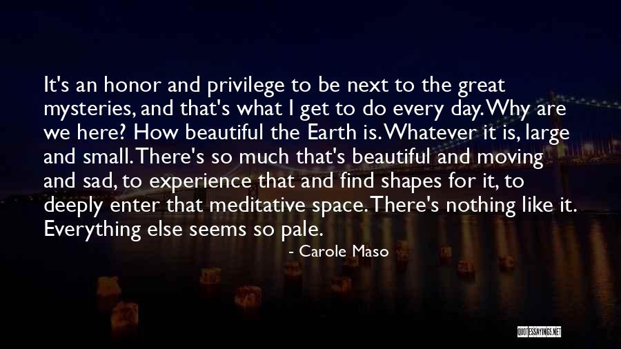 Space Mysteries Quotes By Carole Maso