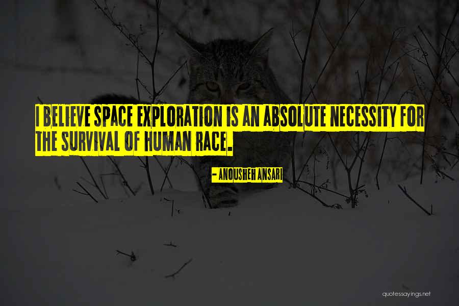 Space Race Quotes By Anousheh Ansari