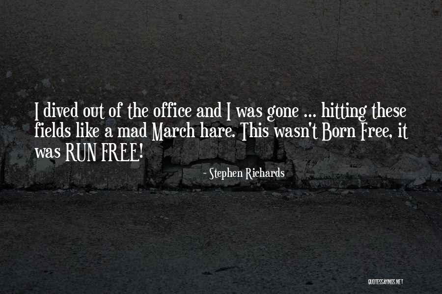 Spaced Paintball Quotes By Stephen Richards
