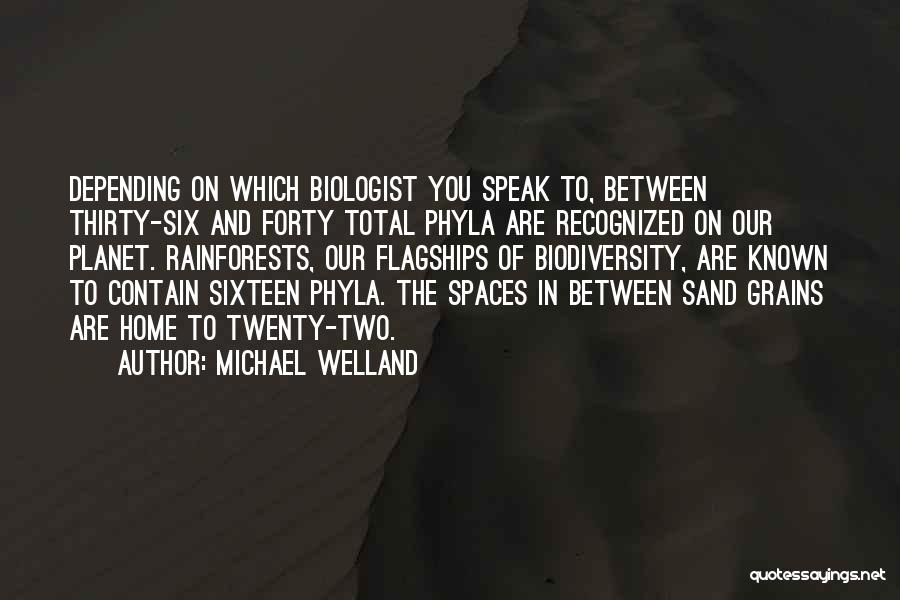 Spaces Between Quotes By Michael Welland