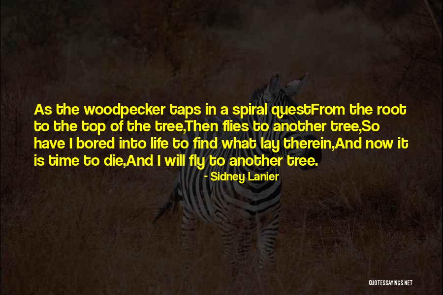 Spaces Spaceships Quotes By Sidney Lanier Spaces Spaceships Quotes By Sidney Lanier