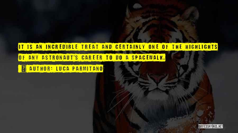 Spacewalk Quotes By Luca Parmitano