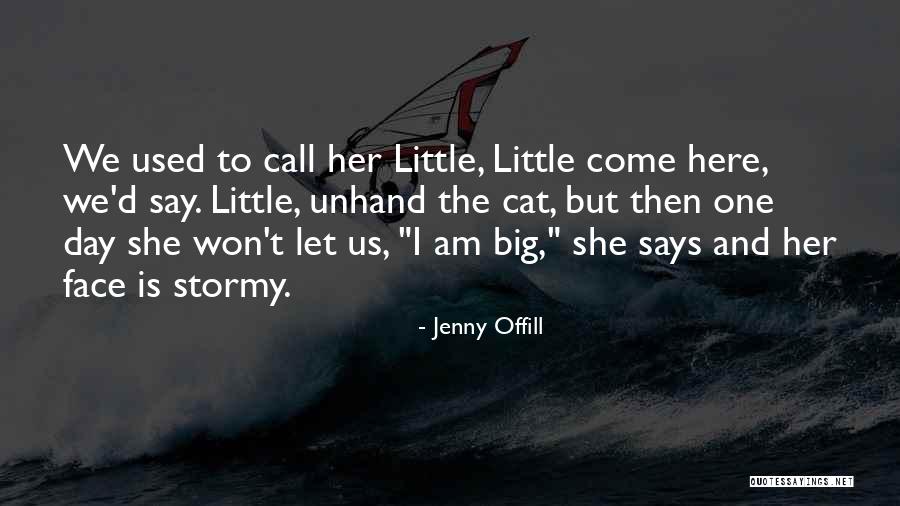 Spacieux Plural French Quotes By Jenny Offill Spacieux Plural French Quotes By Jenny Offill