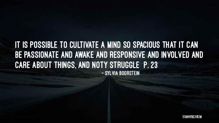Spacious Mind Quotes By Sylvia Boorstein Spacious Mind Quotes By Sylvia Boorstein