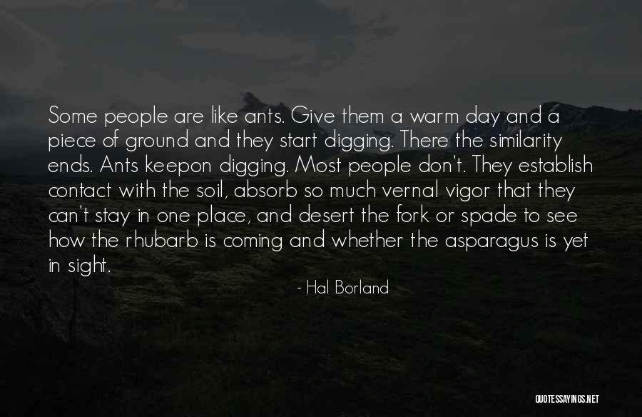 Spade Quotes By Hal Borland Spade Quotes By Hal Borland
