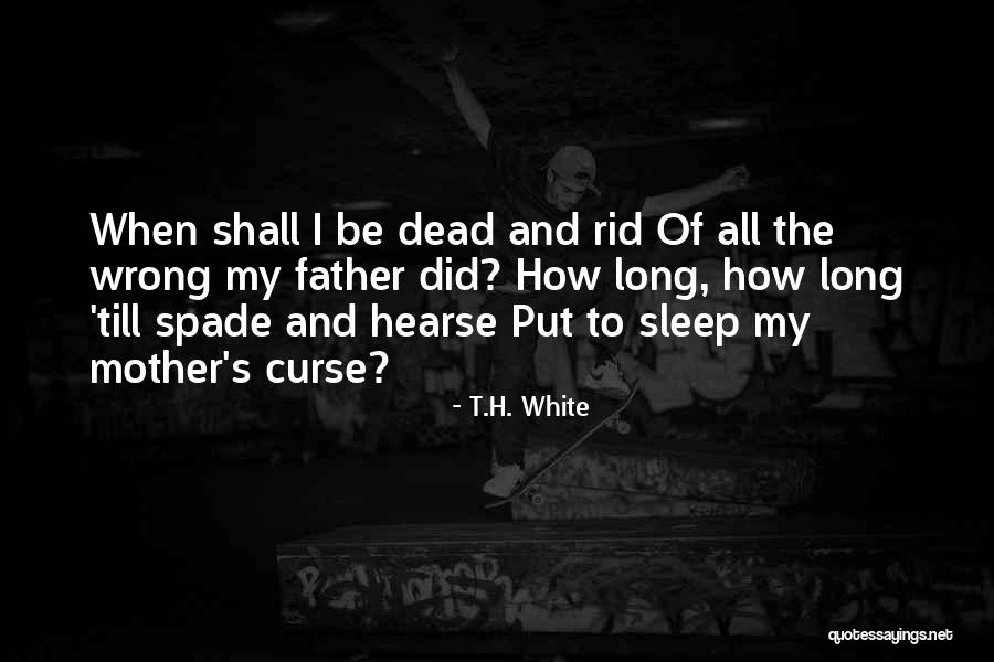 Spade Quotes By T.H. White