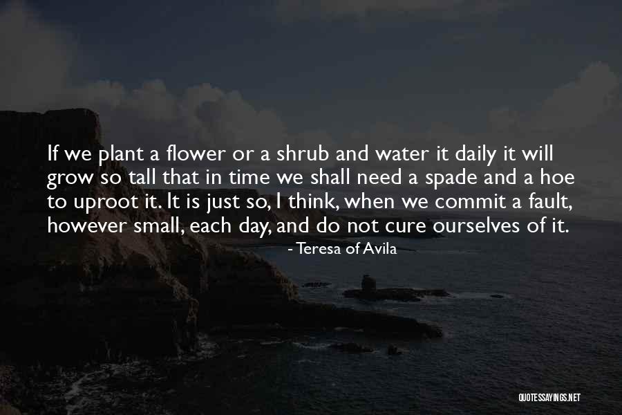 Spade Quotes By Teresa Of Avila