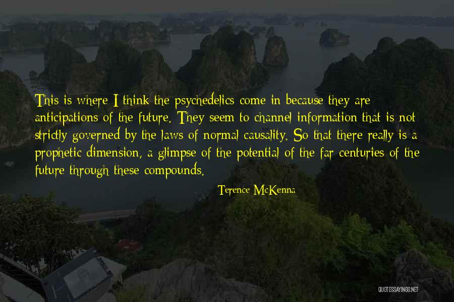 Spading Shovel Quotes By Terence McKenna Spading Shovel Quotes By Terence McKenna