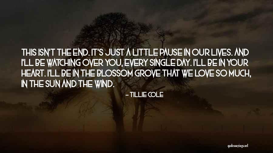 Spaghettification Neil Quotes By Tillie Cole Spaghettification Neil Quotes By Tillie Cole