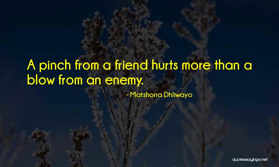 Spagnoli Luisa Quotes By Matshona Dhliwayo Spagnoli Luisa Quotes By Matshona Dhliwayo