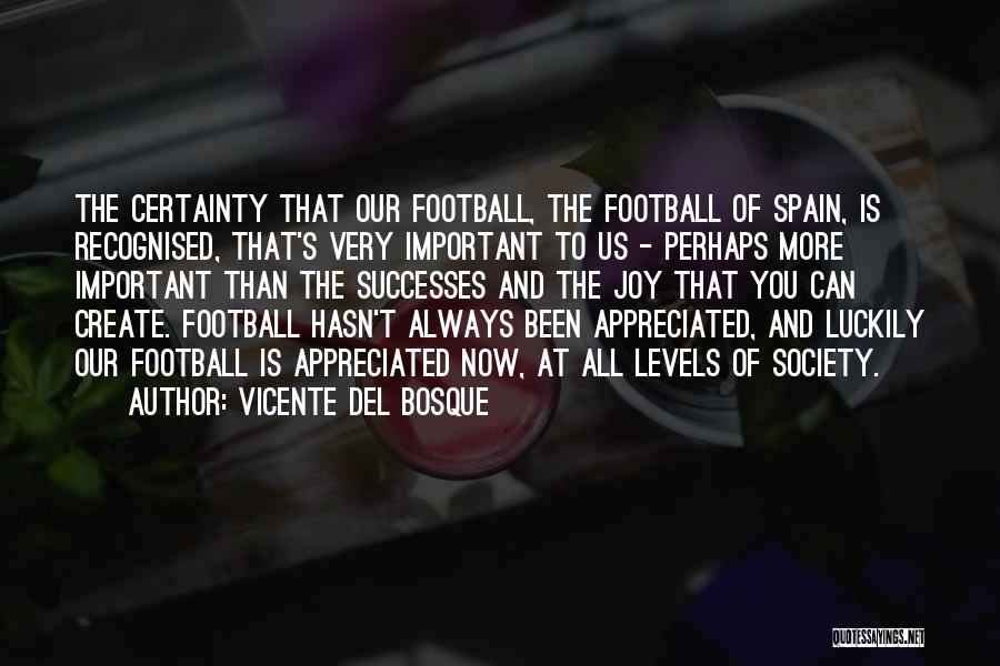 Spain Football Quotes By Vicente Del Bosque