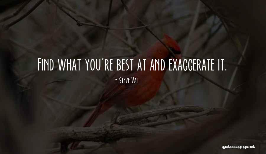 Spainhower Chiropractic Quotes By Steve Vai Spainhower Chiropractic Quotes By Steve Vai