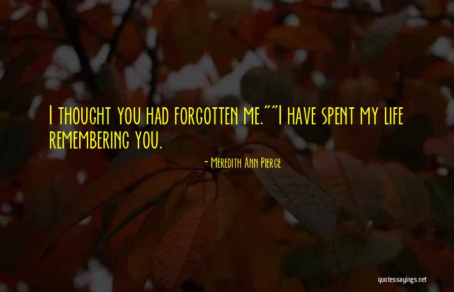 Spains Quotes By Meredith Ann Pierce Spains Quotes By Meredith Ann Pierce