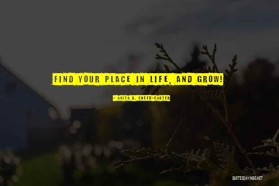 Spalting Quotes By Anita R. Sneed-Carter Spalting Quotes By Anita R. Sneed-Carter