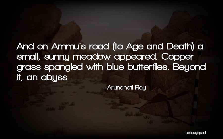 Spangled Quotes By Arundhati Roy Spangled Quotes By Arundhati Roy