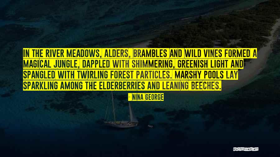 Spangled Quotes By Nina George Spangled Quotes By Nina George