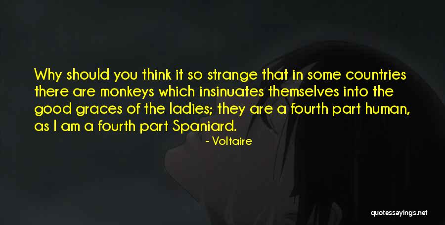 Spaniard Quotes By Voltaire Spaniard Quotes By Voltaire