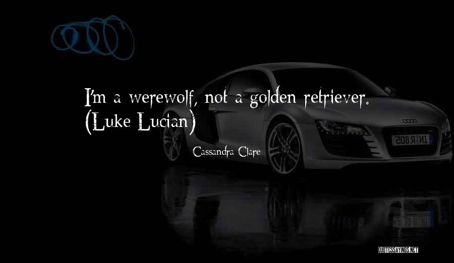 Spanner Crab Quotes By Cassandra Clare Spanner Crab Quotes By Cassandra Clare