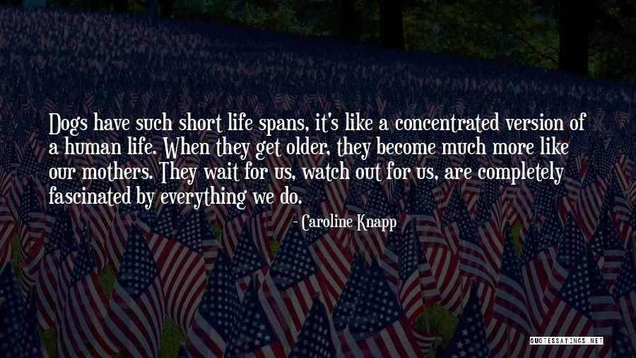 Spans Quotes By Caroline Knapp Spans Quotes By Caroline Knapp