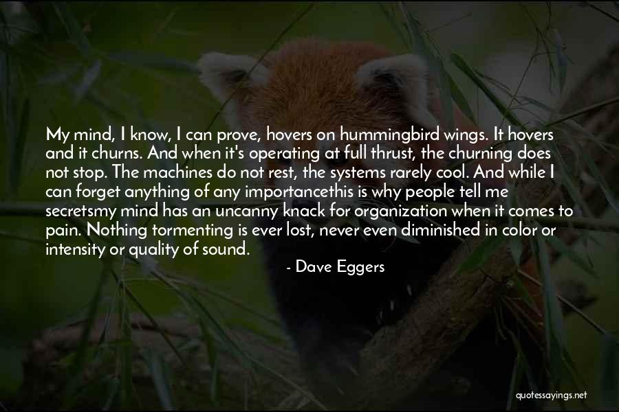 Spanworm Caterpillar Quotes By Dave Eggers Spanworm Caterpillar Quotes By Dave Eggers