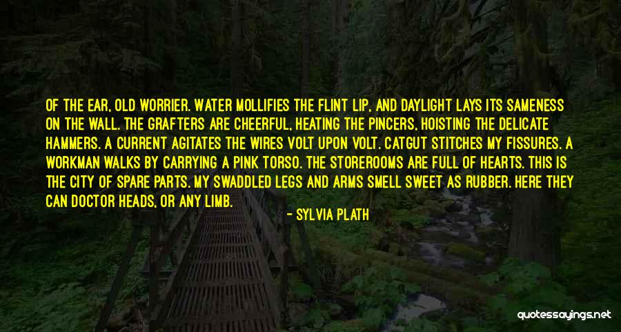 Spare Parts Quotes By Sylvia Plath Spare Parts Quotes By Sylvia Plath