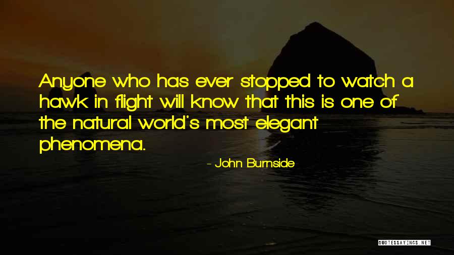 Spargos Grill Quotes By John Burnside Spargos Grill Quotes By John Burnside