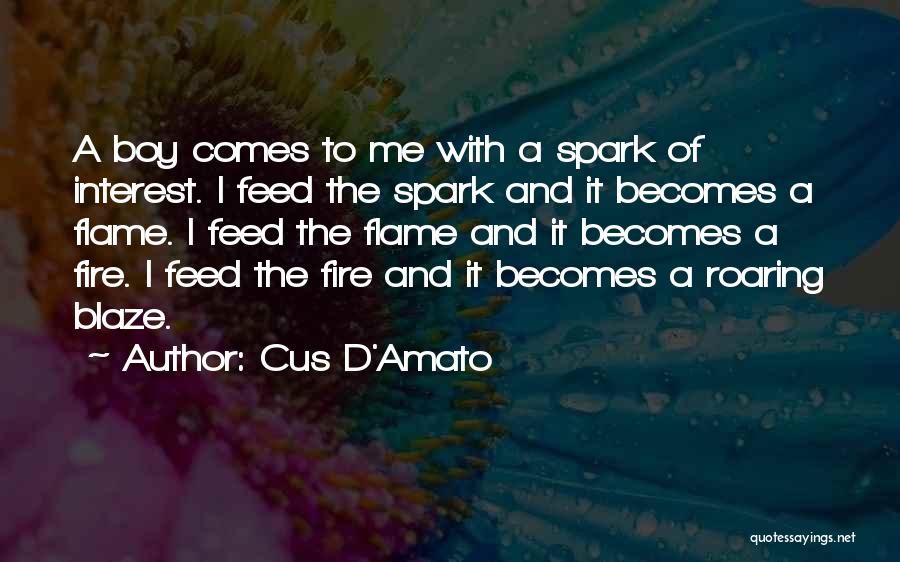 Spark A Fire Quotes By Cus D'Amato
