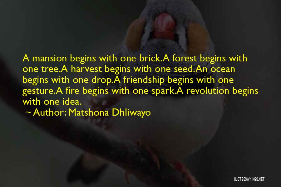 Spark A Fire Quotes By Matshona Dhliwayo