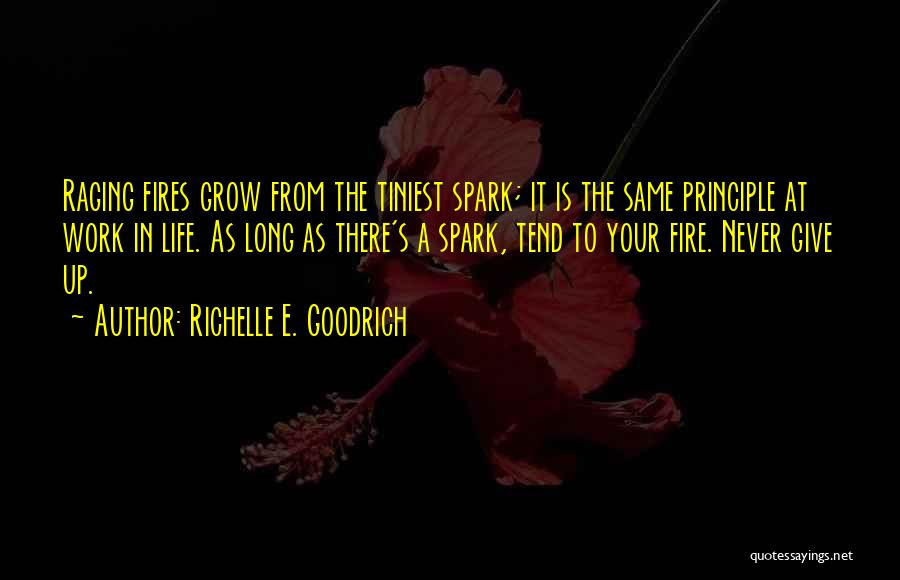 Spark A Fire Quotes By Richelle E. Goodrich