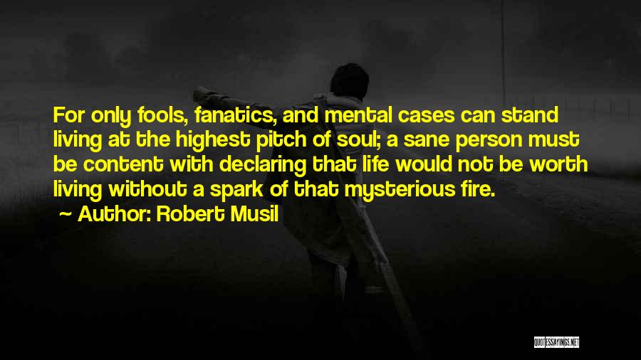 Spark A Fire Quotes By Robert Musil