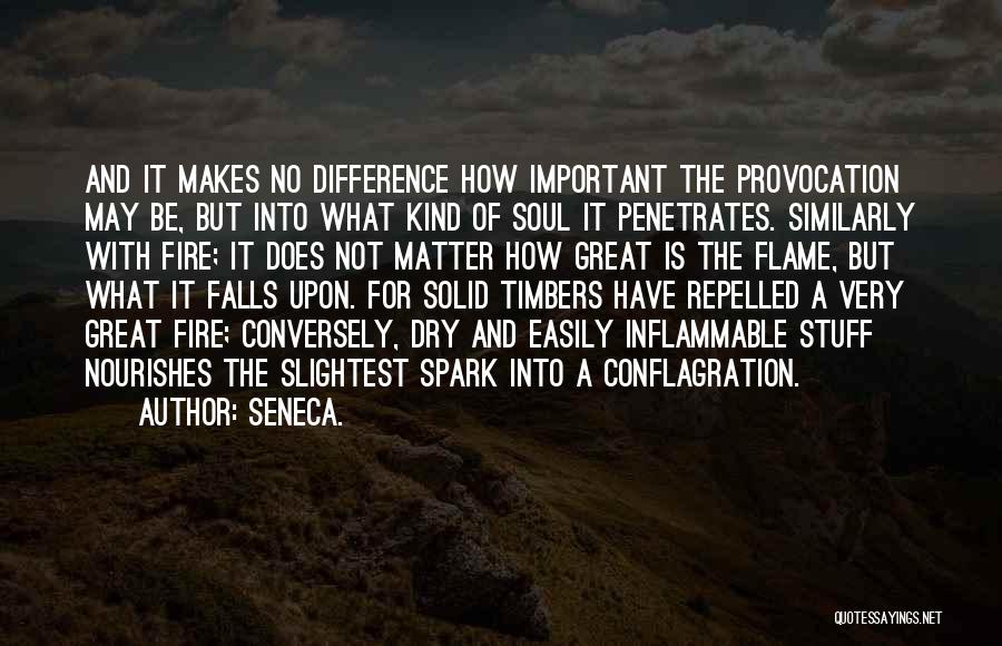 Spark A Fire Quotes By Seneca.