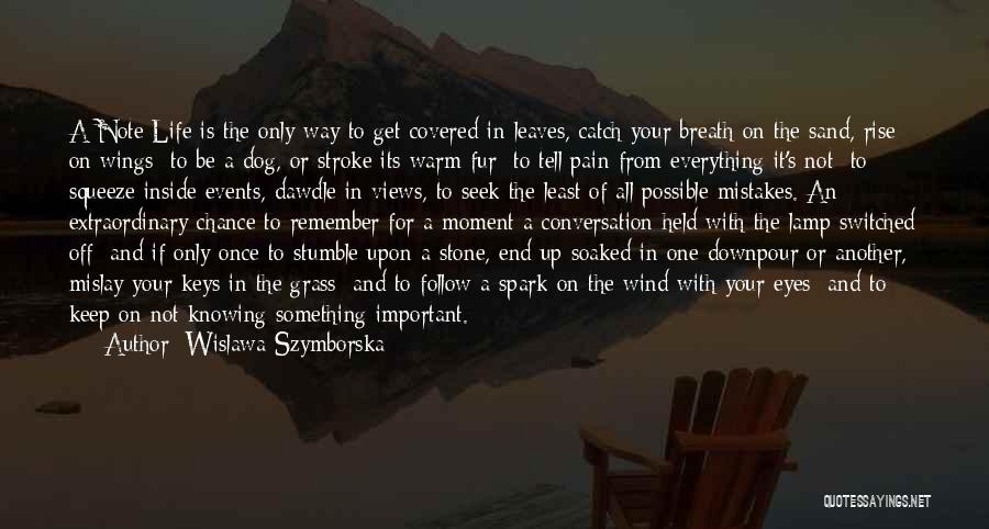 Spark In Eyes Quotes By Wislawa Szymborska Spark In Eyes Quotes By Wislawa Szymborska