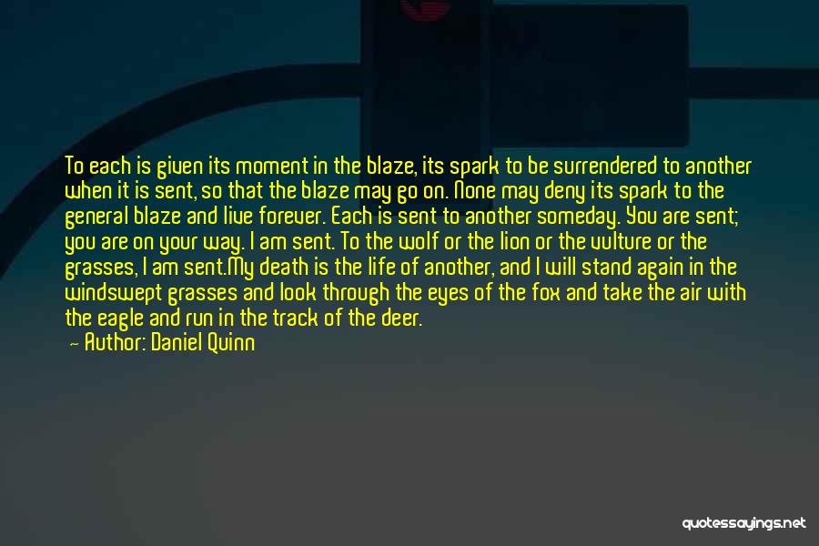 Spark In My Eyes Quotes By Daniel Quinn