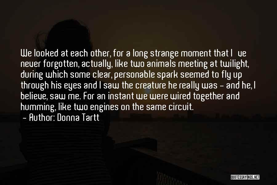 Spark In My Eyes Quotes By Donna Tartt
