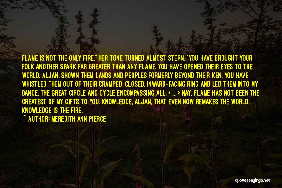 Spark In My Eyes Quotes By Meredith Ann Pierce