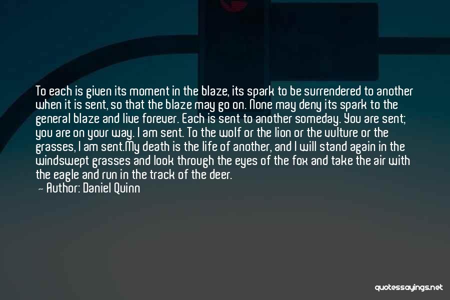 Spark In Your Eyes Quotes By Daniel Quinn