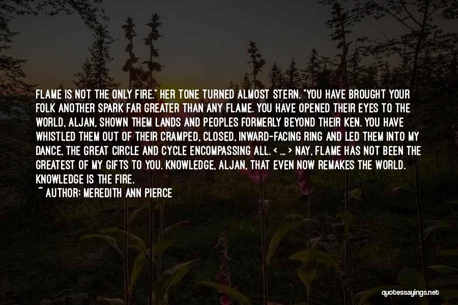 Spark In Your Eyes Quotes By Meredith Ann Pierce