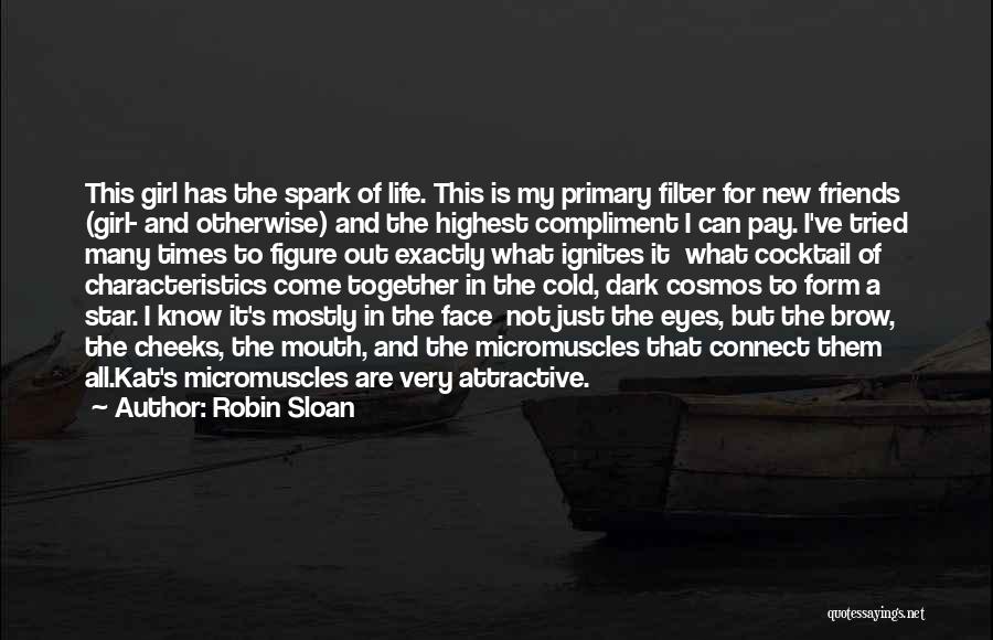 Spark In Your Eyes Quotes By Robin Sloan