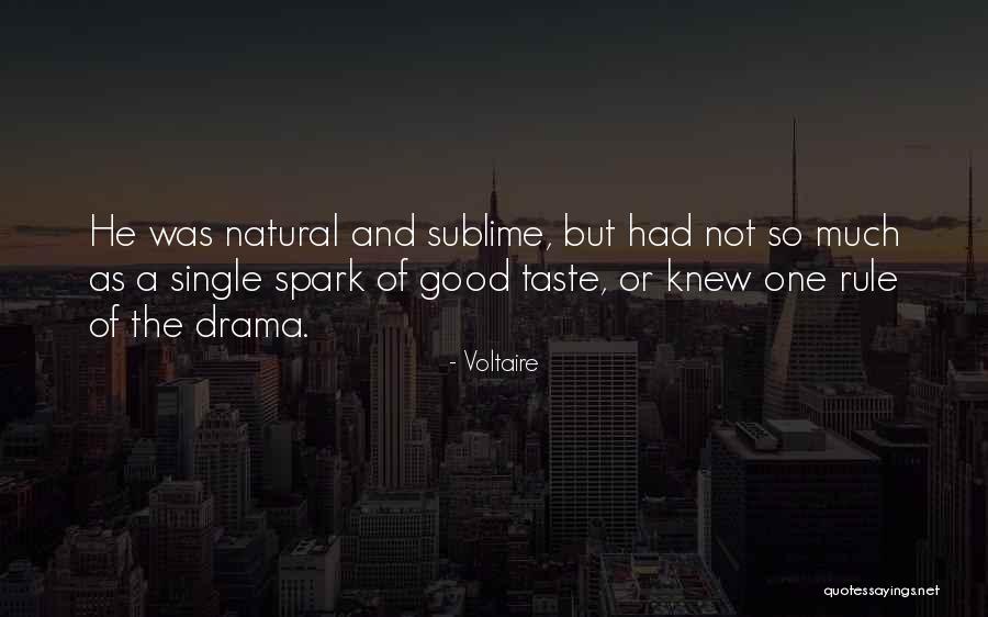 Spark Of Good Quotes By Voltaire Spark Of Good Quotes By Voltaire
