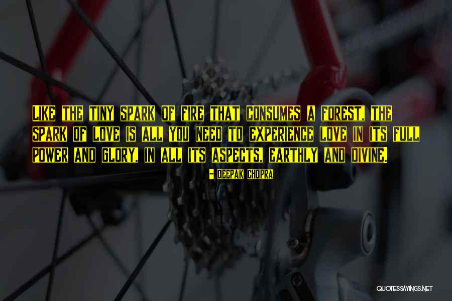 Spark Of Love Quotes By Deepak Chopra Spark Of Love Quotes By Deepak Chopra