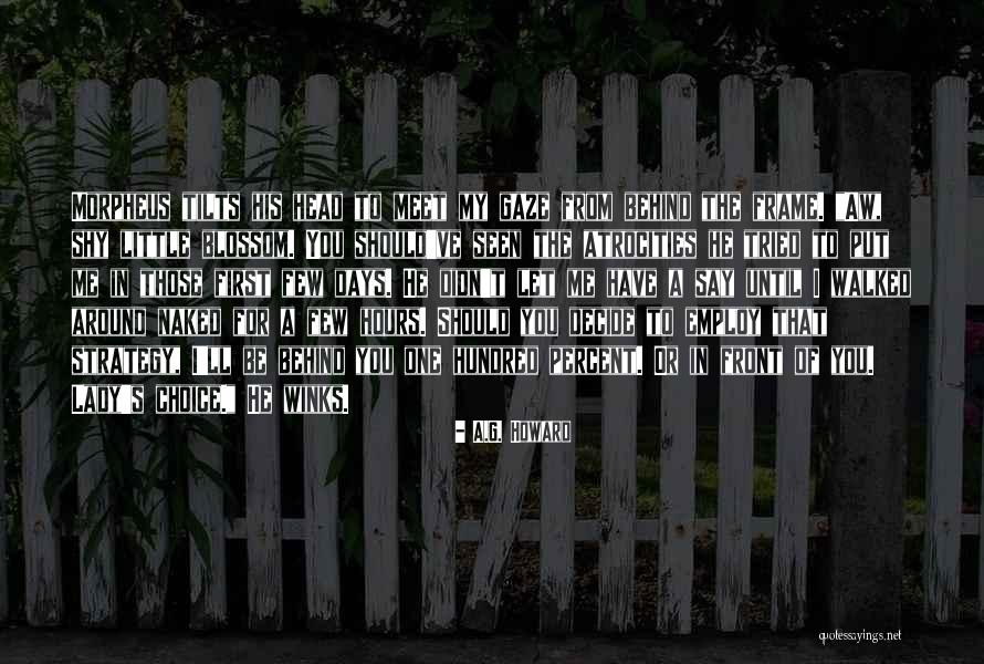 Spark Toro Quotes By A.G. Howard Spark Toro Quotes By A.G. Howard