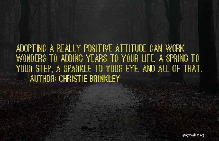 Sparkle Life Quotes By Christie Brinkley