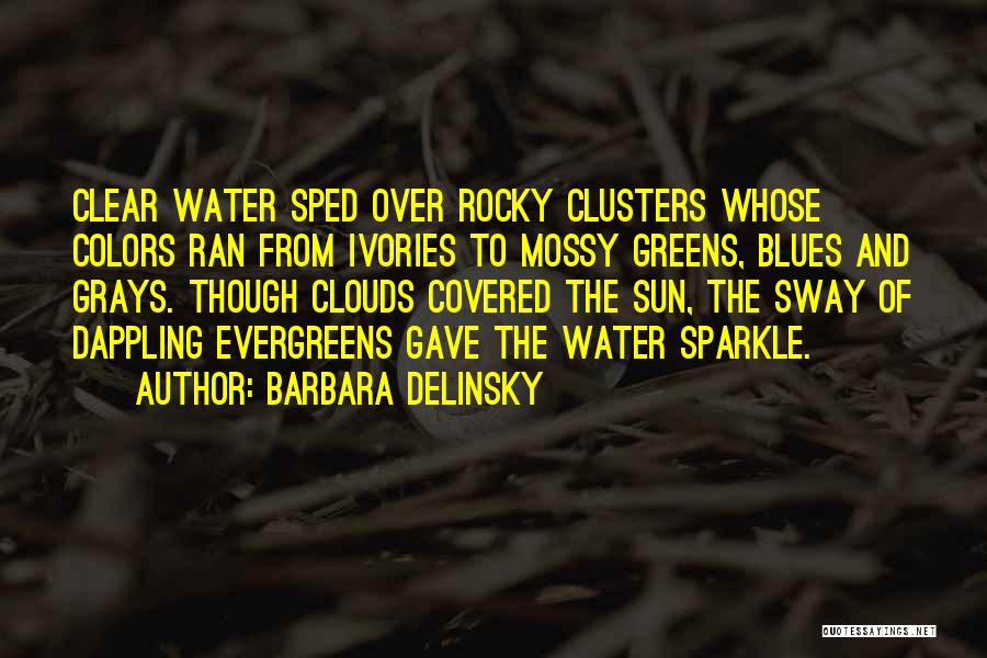 Sparkle Water Quotes By Barbara Delinsky