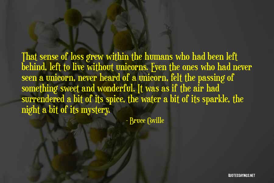 Sparkle Water Quotes By Bruce Coville