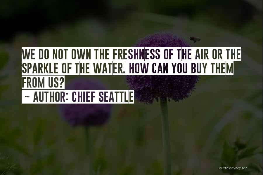 Sparkle Water Quotes By Chief Seattle