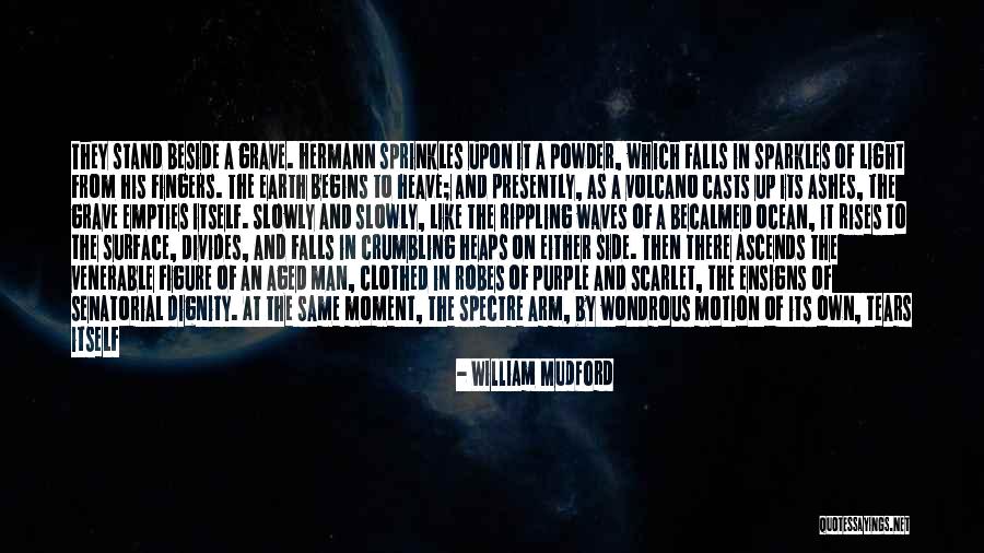 Sparkles Quotes By William Mudford